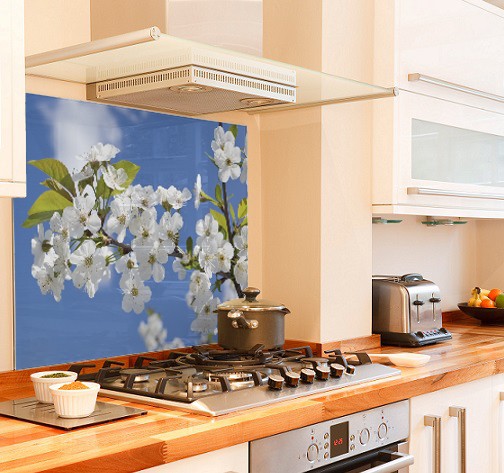blossom-branch diy kitchen glass splashback