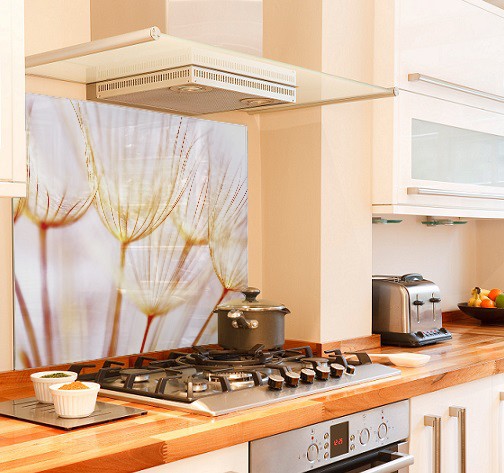 Dandelion Summer diy kitchen glass splashback