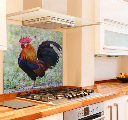 Rooster Kitchen Glass Splashback