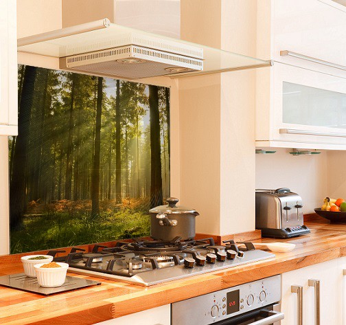 Forest sunlight diy kitchen glass splashback