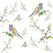 Bird and Branch sq diy kitchen glass splashback