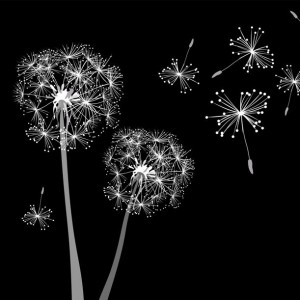 Make a Wish sq diy kitchen glass splashback