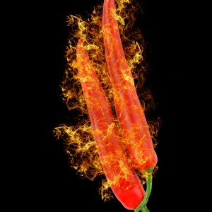 Red Hot Chill Pepper sq diy kitchen glass splashback