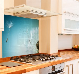 Dandelion Close Kitchen Glass Splashback