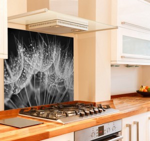 Night Dandelion Kitchen Glass Splashback