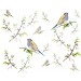 Bird and Branch diy kitchen glass splashback