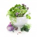 Herbs diy kitchen glass splashback