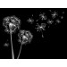 Make a Wish diy kitchen glass splashback