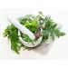 Mortar and Pestle diy kitchen glass splashback