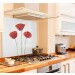 Poppy diy kitchen glass splashback